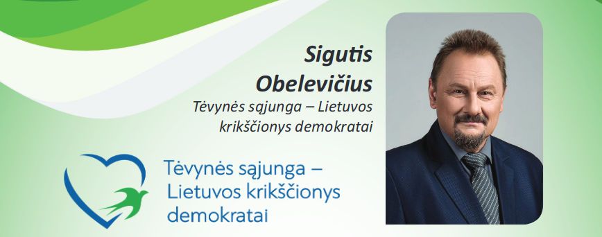 Lietuvos Respublikos savivaldybių tarybų rinkimai (2019)