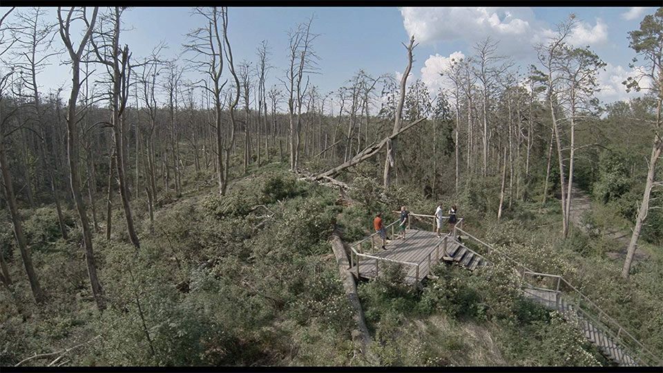 „Kino pavasaris“ (2019) Anykščiuose / Rugilė Barzdžiukaitė  „Rūgštus miškas“ (2018, trukmė 1:03)