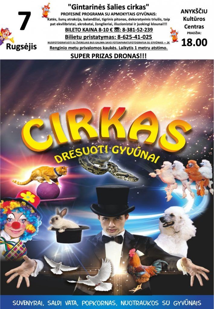 Gintarinės šalies cirkas