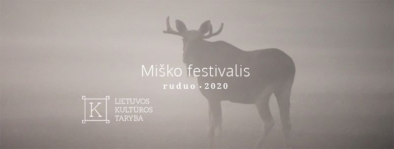 Miško Festivalis (2020) / Meno terapijos metodų kūrybinės dirbtuvės