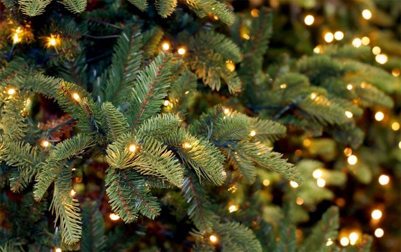Kalėdų eglės įžiebimo šventė „Spindėk, Žaliaskare“ Burbiškyje