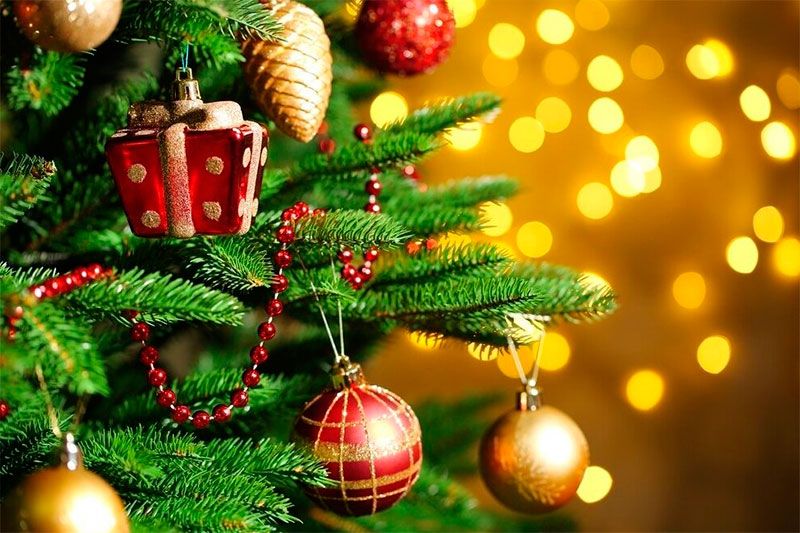 Kalėdų eglės įžiebimo šventė „Stebuklo laukiu“ Burbiškyje