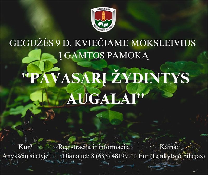 Pamoka moksleiviams „Pavasarį žydintys augalai“