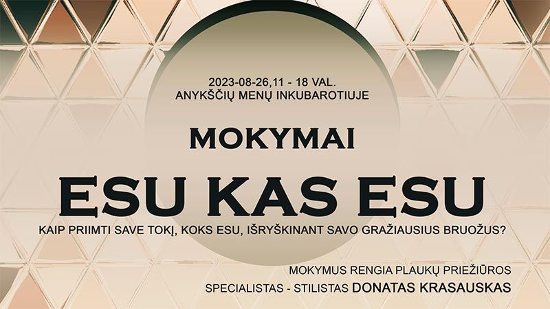 Mokymai „ESU KAS ESU“ / Mokymus veda plaukų priežiūros specialistas - stilistas Donatas Krasauskas