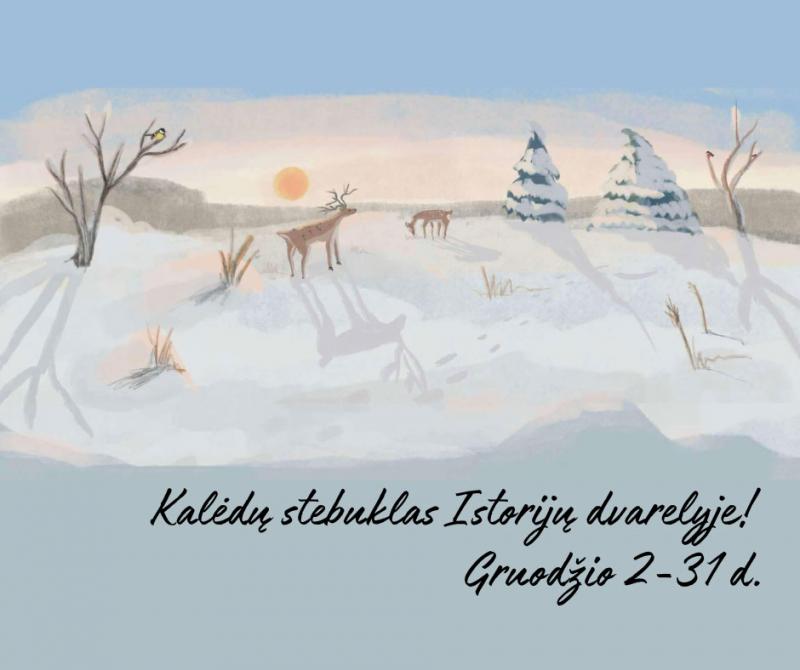 Žilabarzdžio pasakininko istorijos „Kalėdiniame pasakų dvarelyje“ / Žiemos pasakos