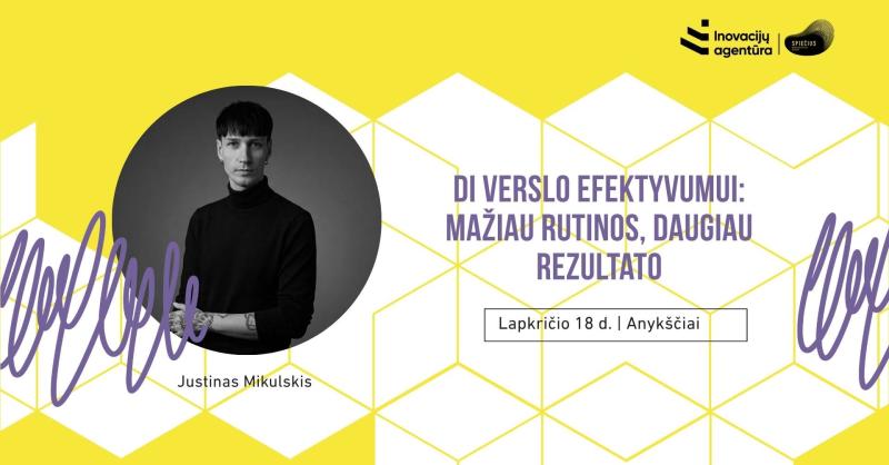 Seminaras „DI verslo efektyvumui: mažiau rutinos, daugiau rezultato“