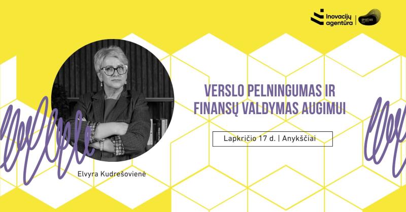 Praktiniai mokymai „Verslo pelningumas ir finansų valdymas augimui“