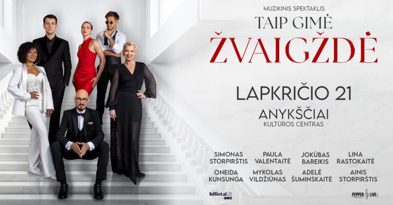 Muzikinis spektaklis „Taip gimė žvaigždė“