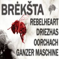 Brėkšta