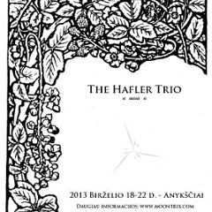 The Hafler Trio