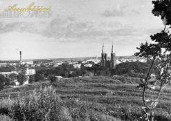 Anykščių panorama