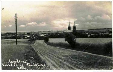 Fotokonkursas „Anykščiai ir apylinkės“ (1930) - Miesto panorama