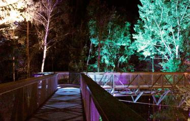 Turizmo naktis - Pramoginio traukinuko kelionė nuo Dainuvos slėnio link Medžių lajų tako komplekso - Šviesų instaliacija