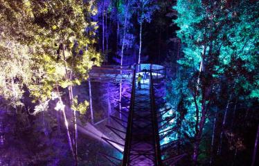 Turizmo naktis - Pramoginio traukinuko kelionė nuo Dainuvos slėnio link Medžių lajų tako komplekso - Šviesų instaliacija