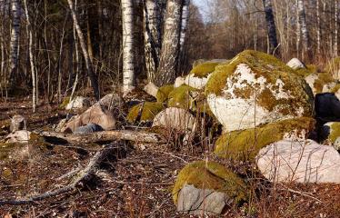 2018 01 01 - Fotokonkursas „Anykščiai ir apylinkės“ (2018)