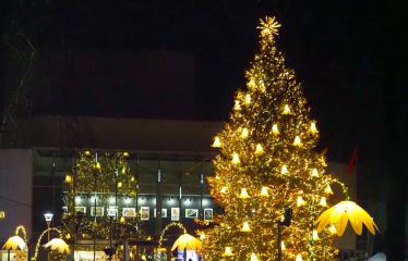 2025 12 05 - Anykščių Kalėdų eglės įžiebimo šventė „Misija: įžiebimas“