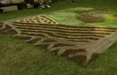Anykščių miesto šventė (2017) - „ŠvenČIA ANYKŠČIAI“ - Floristinių kilimų pynimas ir paroda - Anykščių rajono Naujųjų Elmininkų bendruomenės floristinis kilimas
