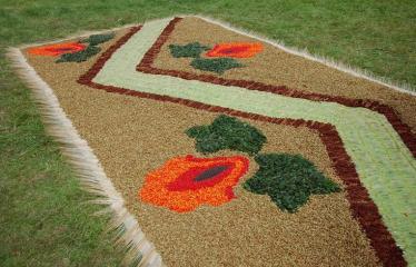 Anykščių Miesto šventė (2016) - Pasaulio anykštėnų VIII suvažiavimas „Po gimtinės laja“ - Trečioji diena - Šventės akimirka - floristinių kilimų pynimas - Naujųjų Elmininkų bendruomenės kūrinys