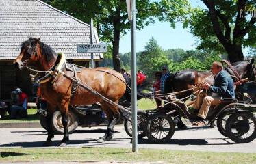 36-oji Respublikinė tradicinės kultūros ir žirgų sporto šventė „Bėk bėk, žirgeli!“ (2015) - Šventės akimirka