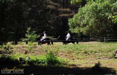 36-oji Respublikinė tradicinės kultūros ir žirgų sporto šventė „Bėk bėk, žirgeli!“ (2015) - Šventės akimirka
