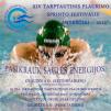 XIV Tarptautinis plaukimo sprinto festivalis „Anykščiai - 2012” - Trečioji diena