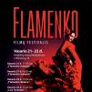 „Flamenko” filmų festivalis (2015) - „Flamenko moterys”