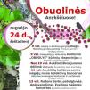 Derliaus šventė „Obuolinės“ (2016) - Aukštaitiškos juostos dėlionė iš obuolių