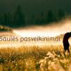 108 Saulės pasveikinimai