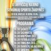 XI Anykščių rajono seniūnijų sporto žaidynės (2018)