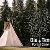 Miško stovykla vaikams anglų kalba „Big Tent Forest Camp“