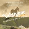 „Naktigonė“ / Biržų folkloro ansamblis „Siaudėla“ 