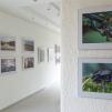 Gamtos fotografų klubo ,,Žalias skėtis“ fotografijų paroda