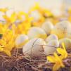 Atvelykio šventė „Su spalvotų kiaušinių švente!“ 