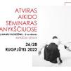 Atviras aikido seminaras su Mantu Puodžiūnu 5 dan / Antroji diena