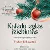 Kalėdų eglės įžiebimas Kavarske