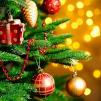 Kalėdų eglės įžiebimo šventė „Žibėk, eglute plačiašake“ Andrioniškyje