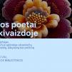 Ukrainos poerai karo akivaizdoje